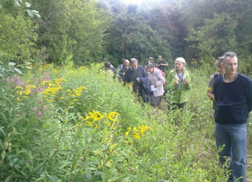 One of the field meetings, led by Naturalist Fiona Barclay, investigates Bumble Bees.jpg